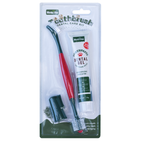 Daro 2 Sided Toothbrush B/C With Toothpaste