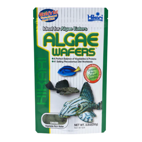 Hikari Algae Wafers